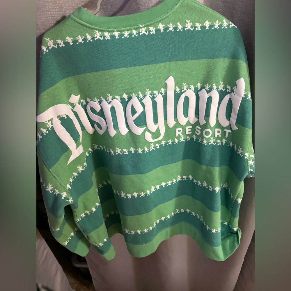 Disney spirit jerseys sweater